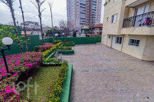 Image 51 - 895141