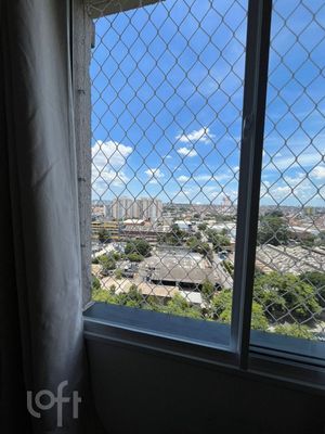 Image 8 - 895146
