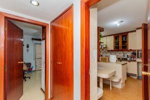 Image 15 - 895148