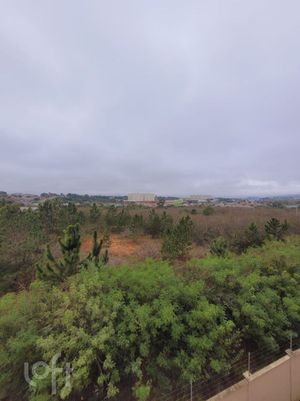 Image 10 - 895170