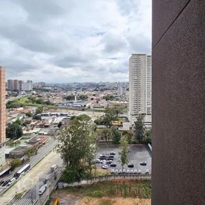 Image 37 - 895181