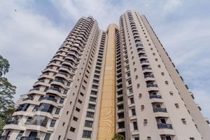 Image 85 - 895183