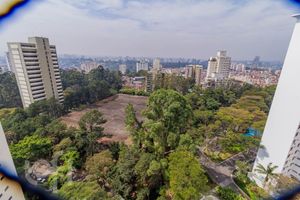 Image 17 - 895183