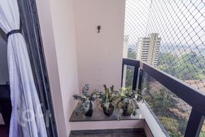 Image 33 - 895183