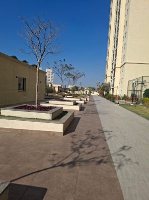 Image 36 - 895300