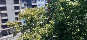 Image 7 - 895427