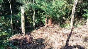 Image 3 - 895485