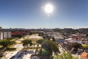 Image 15 - 895526