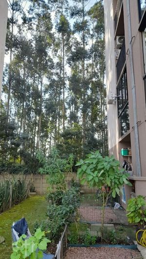 Image 6 - 895606