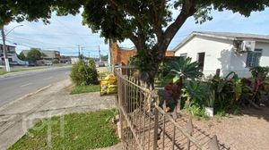 Image 8 - 895640