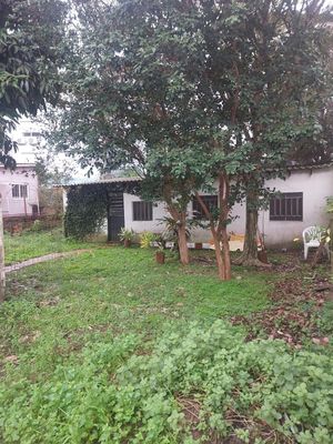 Image 3 - 895651