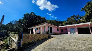 Image 38 - 895676
