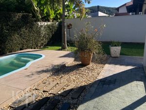Image 38 - 895725