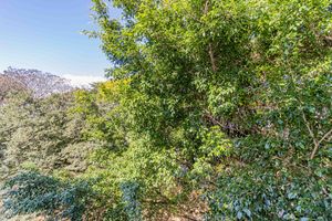 Image 4 - 895806