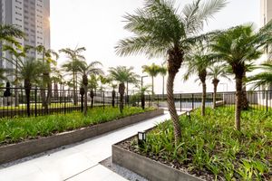 Image 34 - 895846
