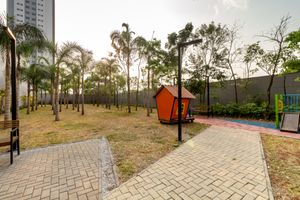Image 37 - 895846