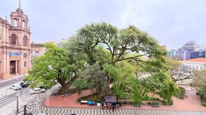 Image 18 - 895856