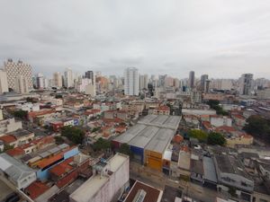 Image 7 - 895914