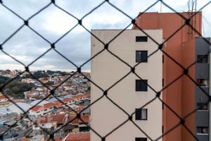 Image 33 - 895945