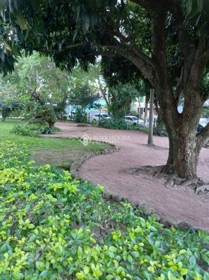 Image 3 - 895947