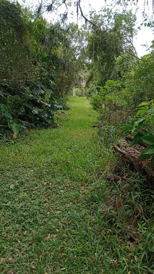 Image 0 - 895959