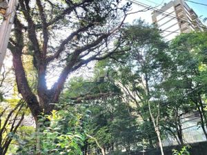 Image 14 - 895996