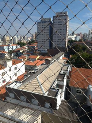 Image 12 - 896019