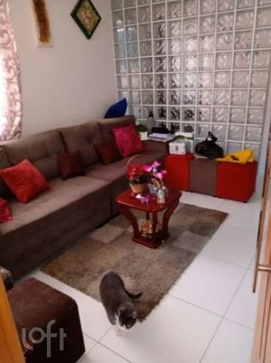 Image 8 - 896093