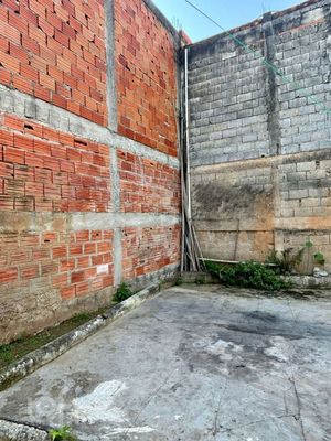 Image 10 - 896118
