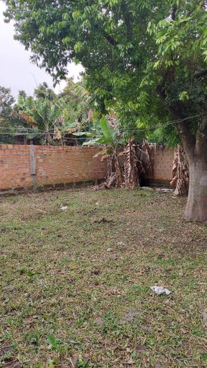 Image 4 - 896145