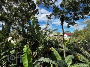 Image 6 - 896198