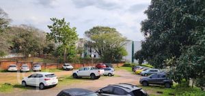 Image 31 - 896215