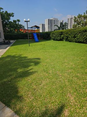 Image 15 - 896231