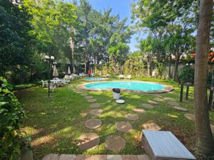 Image 8 - 896231