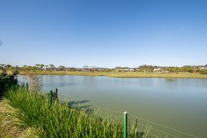 Image 17 - 896549