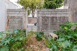 Image 8 - 896608