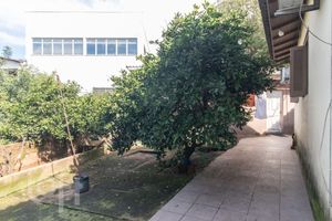 Image 28 - 896609