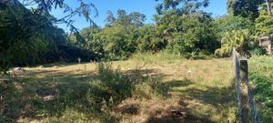 Image 2 - 896795