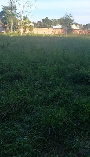 Image 3 - 896795