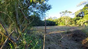 Image 1 - 896798