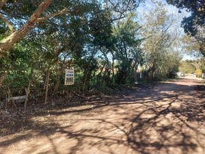 Image 2 - 896799