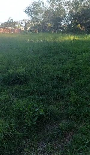 Image 5 - 896800