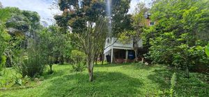 Image 10 - 896844