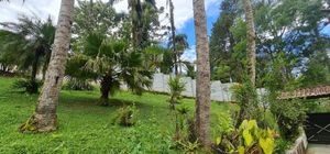 Image 3 - 896844