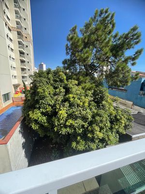 Image 12 - 896849