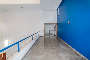 Image 8 - 896927