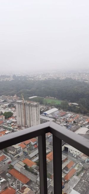 Image 24 - 896947