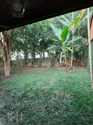 Image 38 - 896952