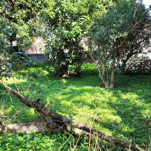 Image 2 - 896955