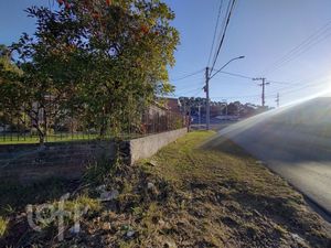 Image 37 - 896968